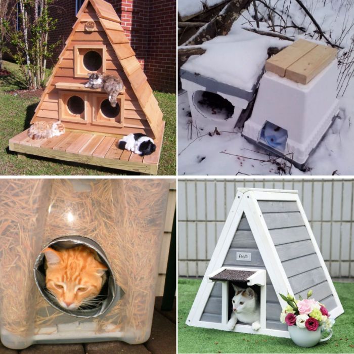 Desain rumah kucing outdooryang bagus