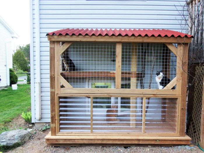 Desain rumah kucing outdooryang bagus